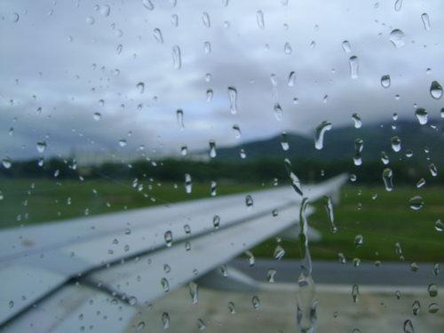 DSC03240_resize.JPG